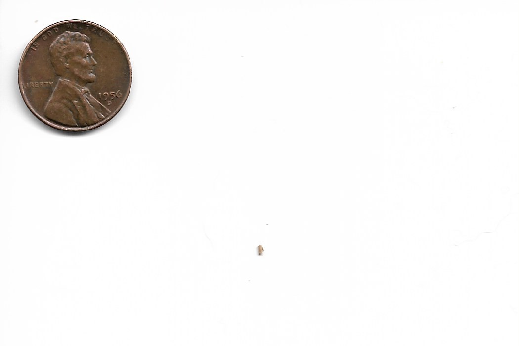 1956-Wheat-Penny-Grade