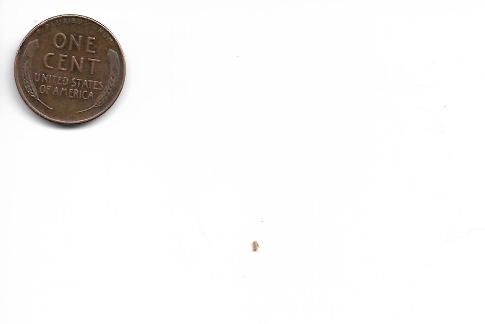 1956-Wheat-Penny-Grade