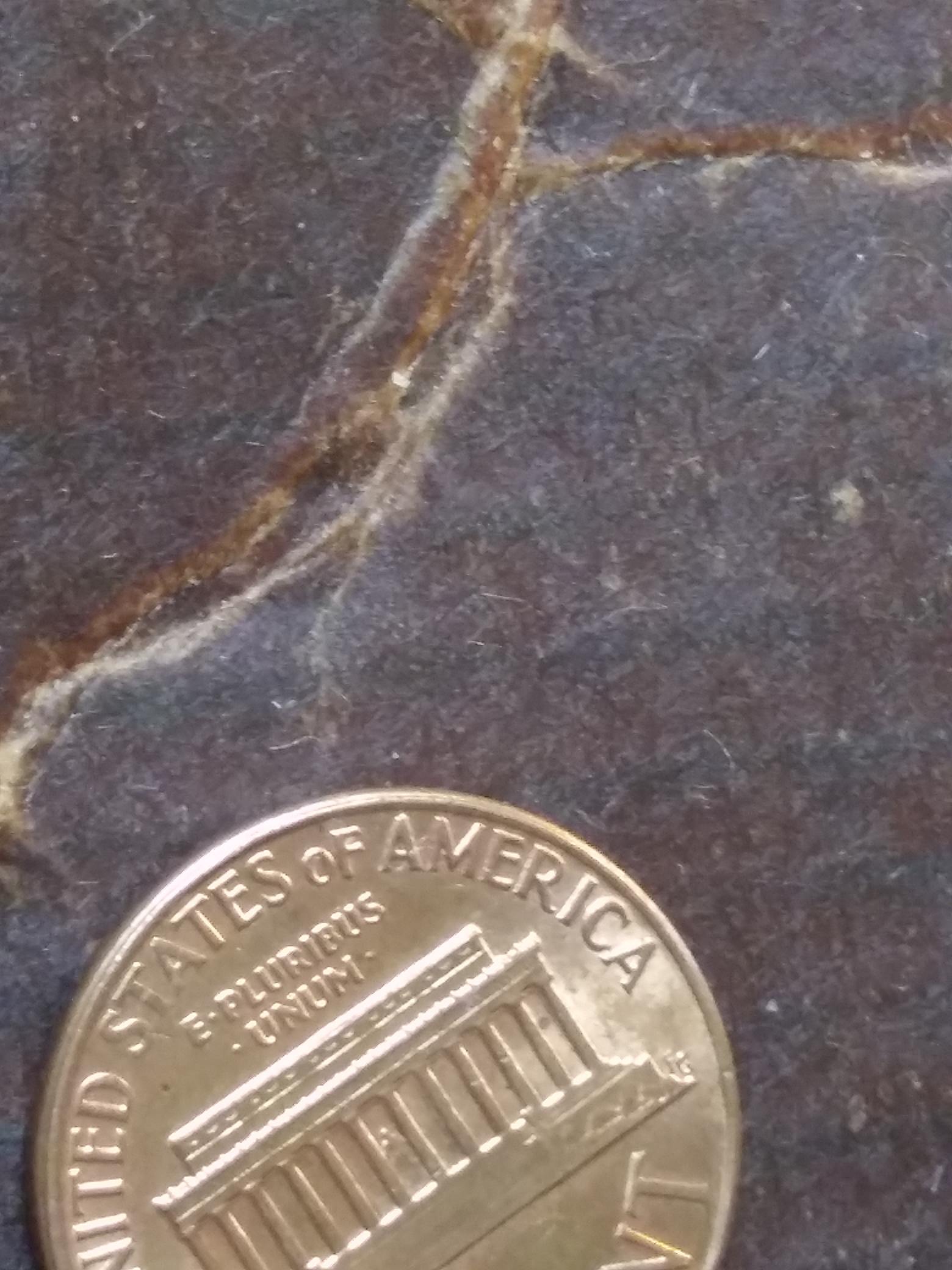 1974-LMC-Penny-Closed-Am-?