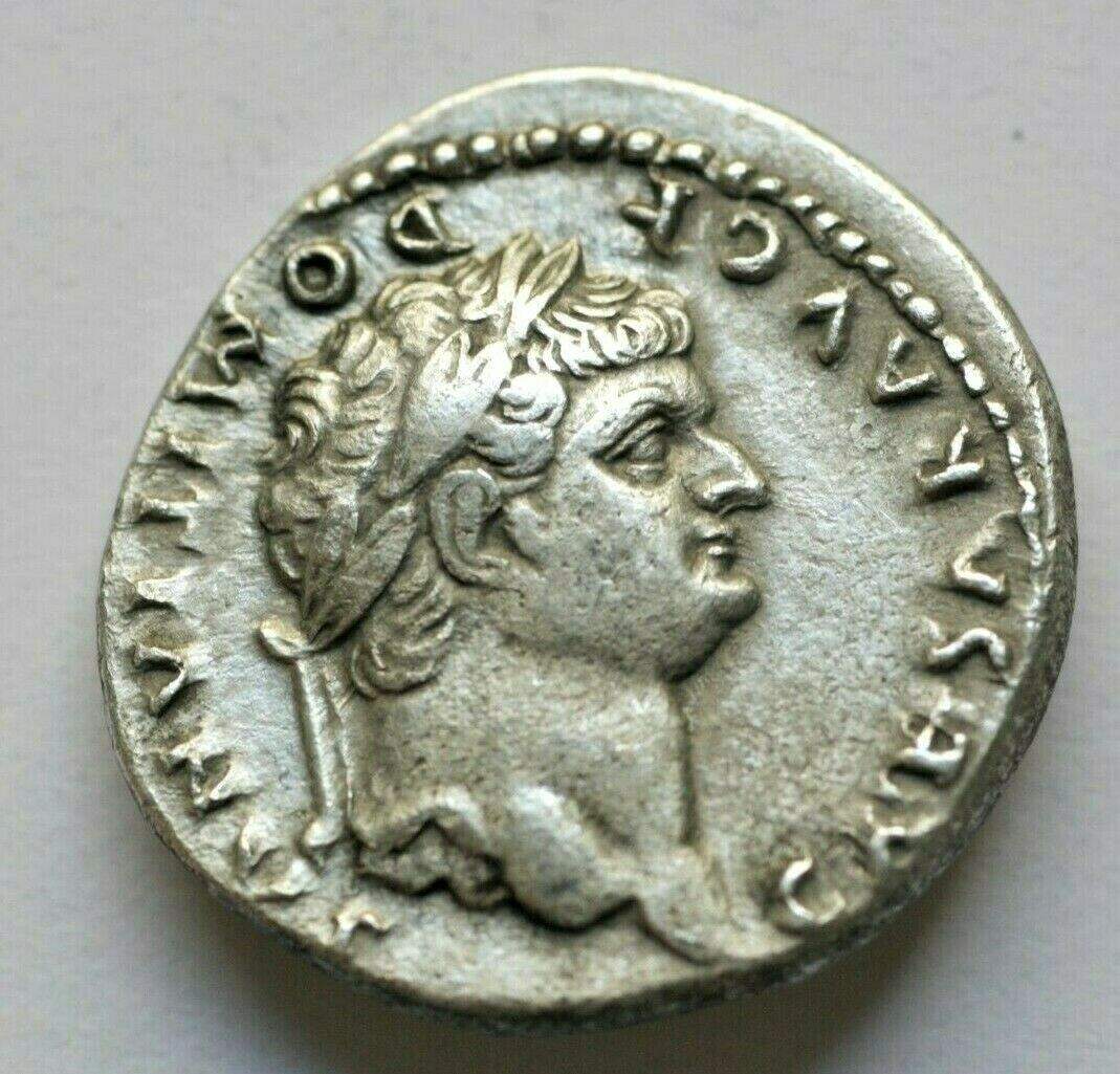 Domitian-Denarius-Not-Sure-On-This-One.