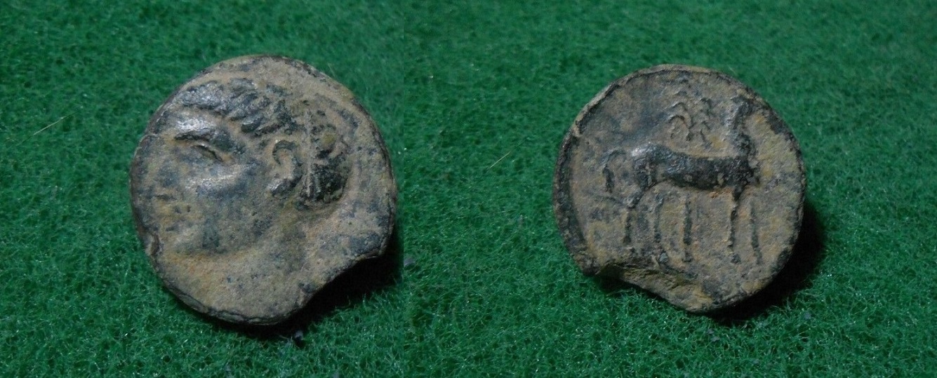 My-Cartago-Nova-Scipio-Africanus-Coin