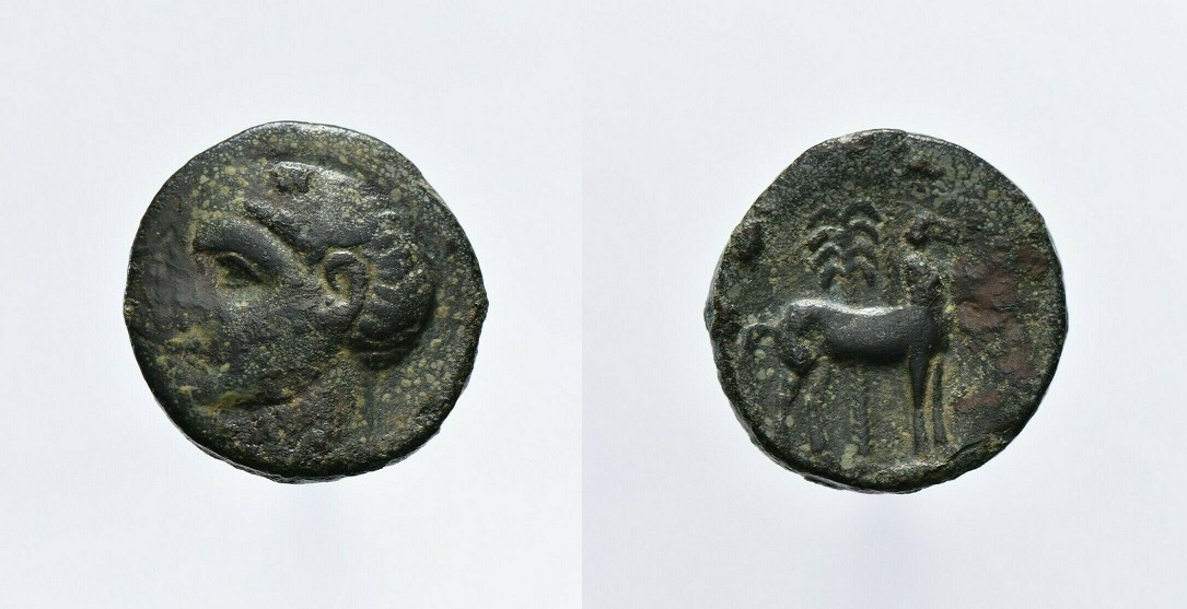 My-Cartago-Nova-Scipio-Africanus-Coin