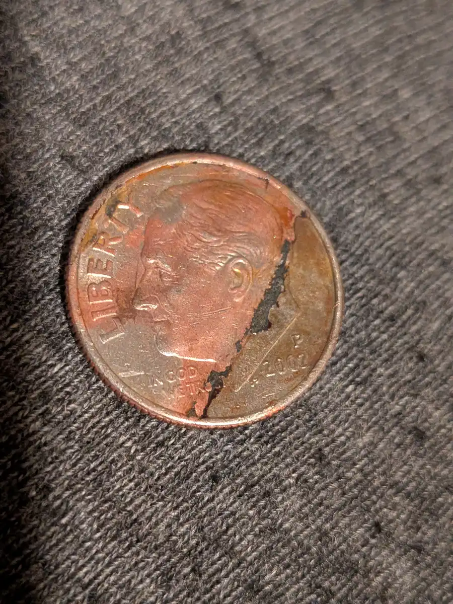 Newbie-Question-Just-Curious.