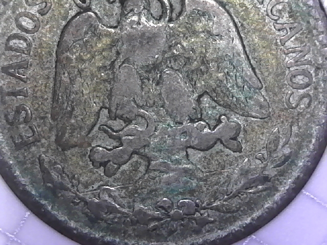 1920-50-Cent-Grade-Worth?
