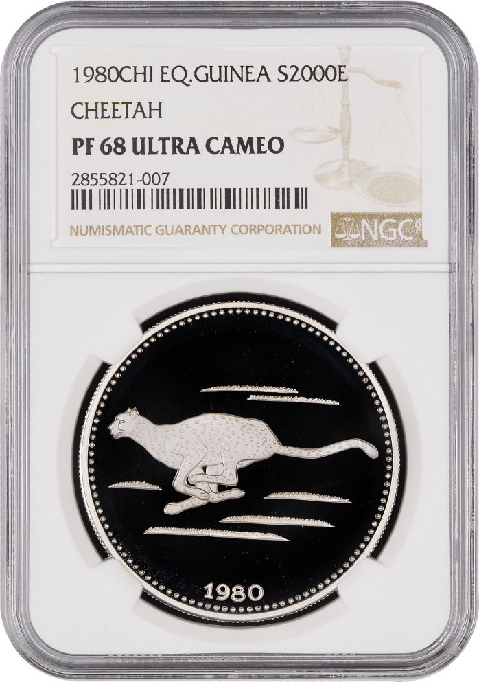 Continuing-List-To-Show-Everyones-Latest-Acquisitions
