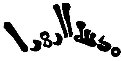 Pet-Project:-Islamic-Coins-From-The-Caliphate-Of-Córdoba
