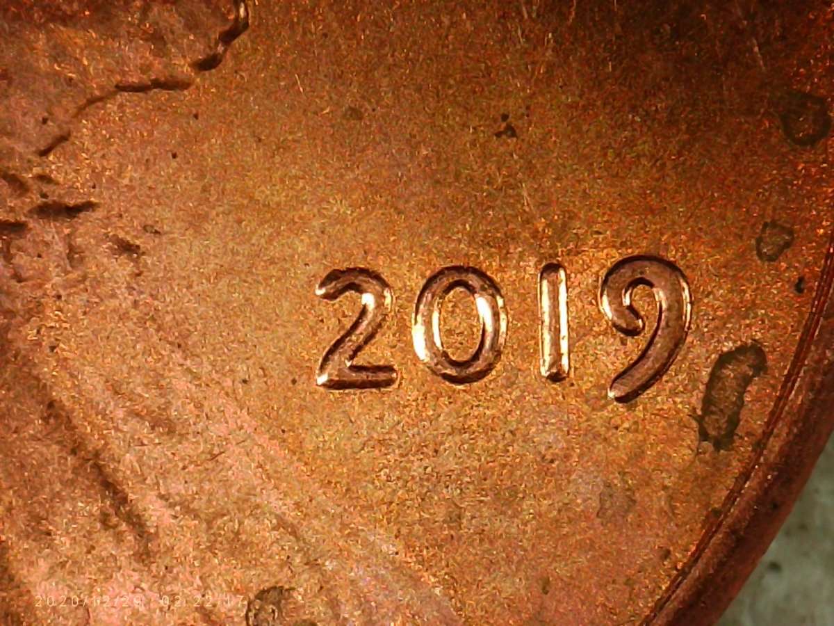 2019-Shield-Penny-DDO-Or-Not--?