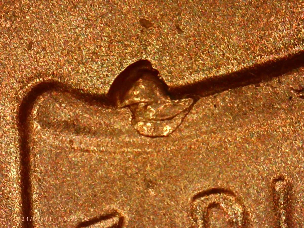 2///-2021-LSC.-Earlobe-And-Die-Chips.are-They-Norm,?