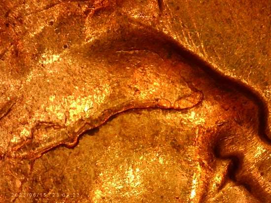 1959-LMC-.looks-Like-Ear-Doubling-And-Is-This-Die-Cracks-Or-Thread-On-Die?-Thanks-Bentpenny