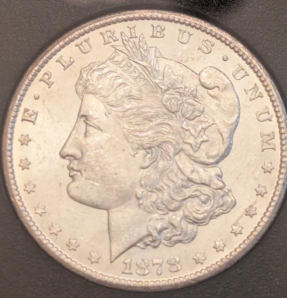 1878-Morgan-CC-Mint-Mark-Die-Chip?