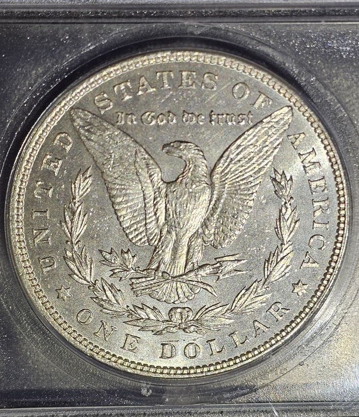 ICG-1896-MS-64-Pl?-What-Would-You-Grade-It.