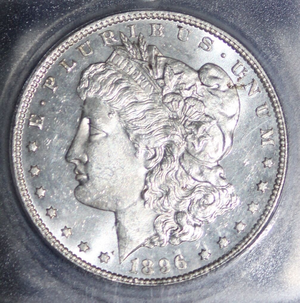 ICG-1896-MS-64-Pl?-What-Would-You-Grade-It.