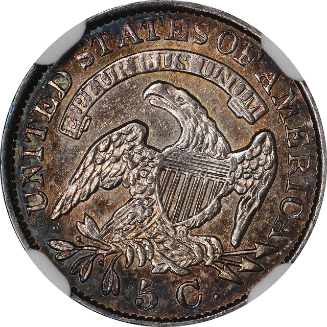 Bust-Half-Dime---A-Downgrade-Of-An-Upgrade