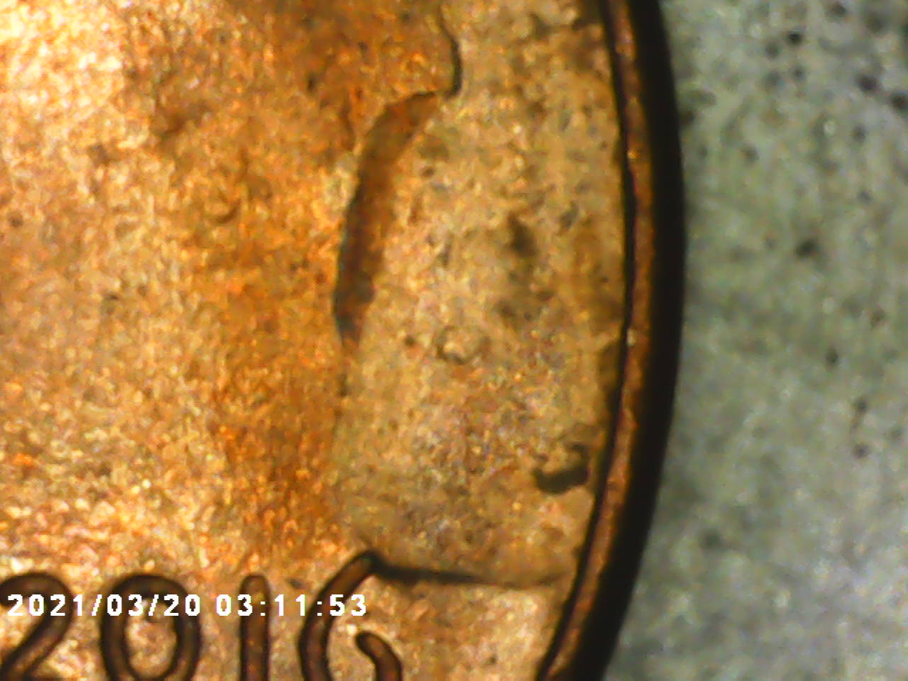 2016-LSC-With-Large-Cud?