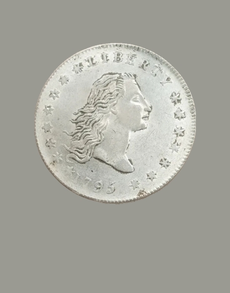 1795-Dollars-Coin-Genuine?