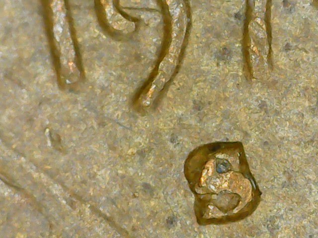 1974-S-Penny-Mint-Mark