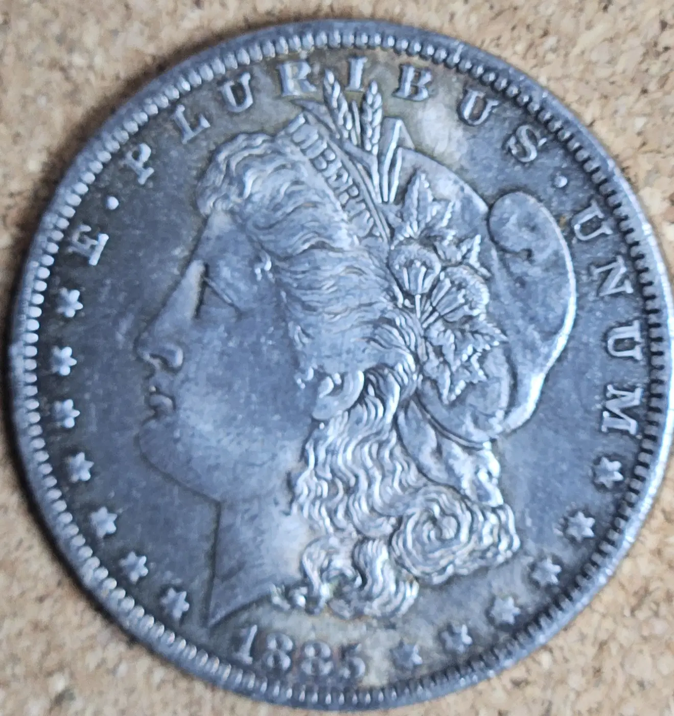 1885-O-Morgan,-Possible-Grade-Poll