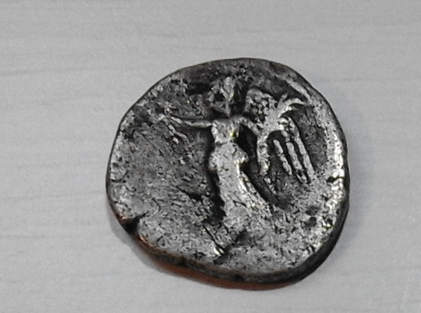 Constantius-Battle-Horse