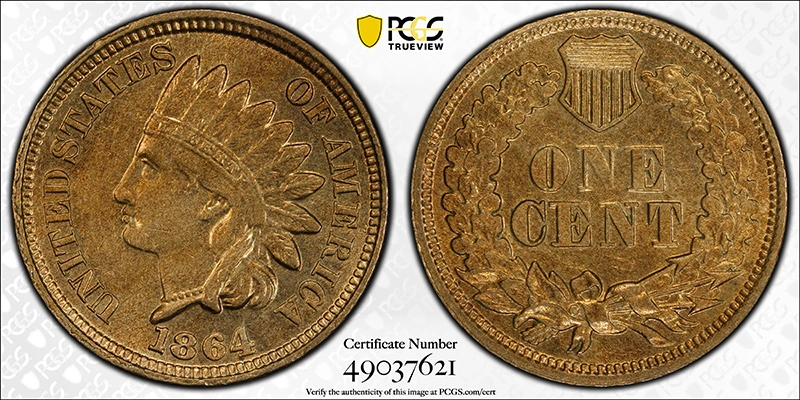 1864-Indian-Cent-For-Grading-And-Comments