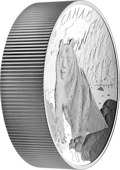 RCM-New-Release:-2019-10-Oz.-Pure-Silver-Double-Concave-Coin---Brown-Bear:-Nature's-Grandeur-Series