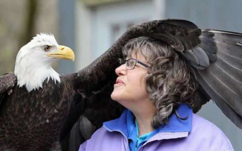 Eagle-Cam-In-Decorah-Iowa