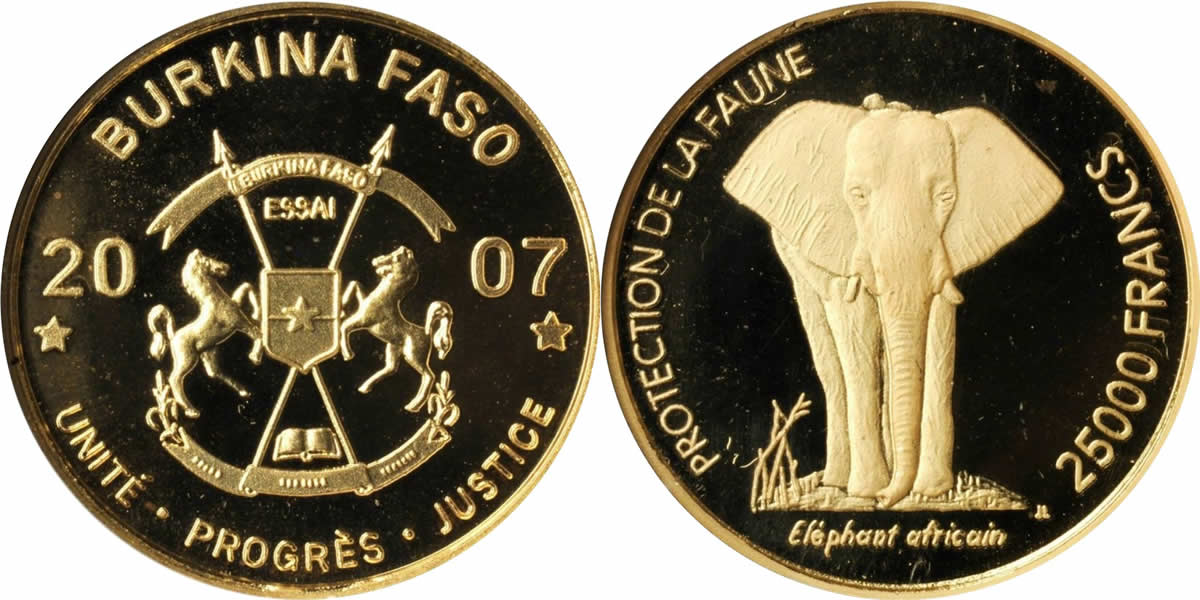 Country-Of-The-Day:-Burkina-Faso,-2007-25000-Francs-African-Elephant-Trial-Strike
