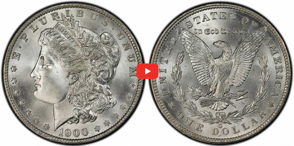Video-ANA-Academy:-The-Joys-Of-Morgan-Silver-Dollar-Collecting