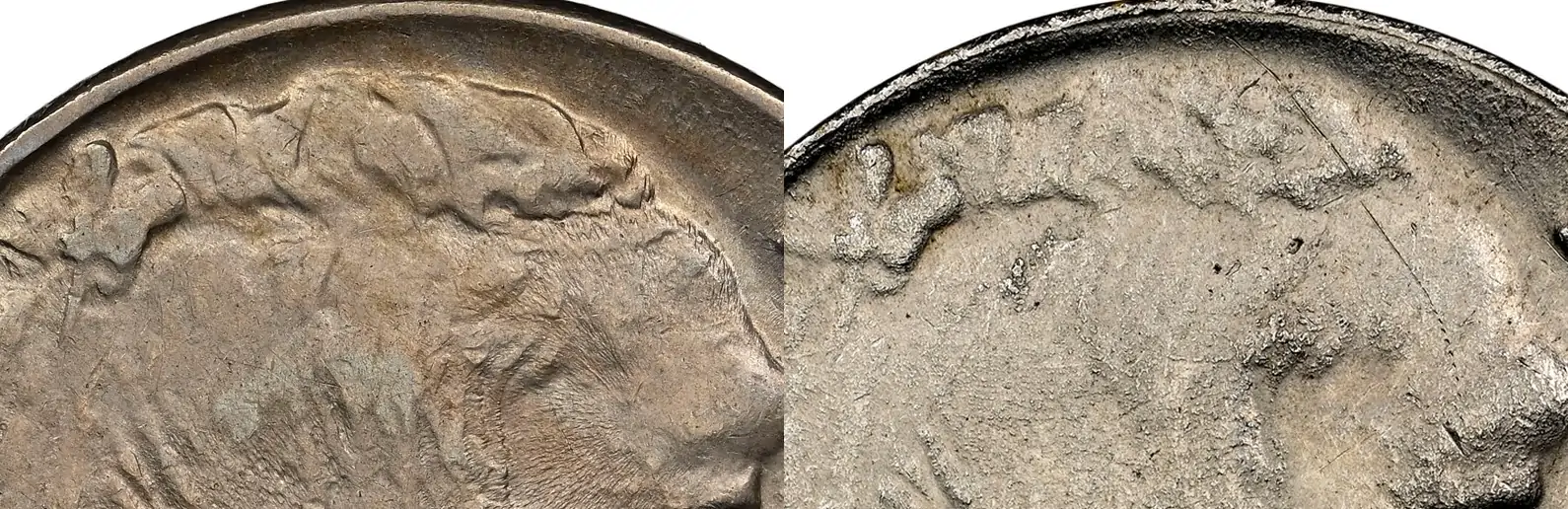 Counterfeit-Detection:-1937-D-Three-Legged-Buffalo-Nickel