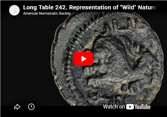 Video:-Representation-Of-