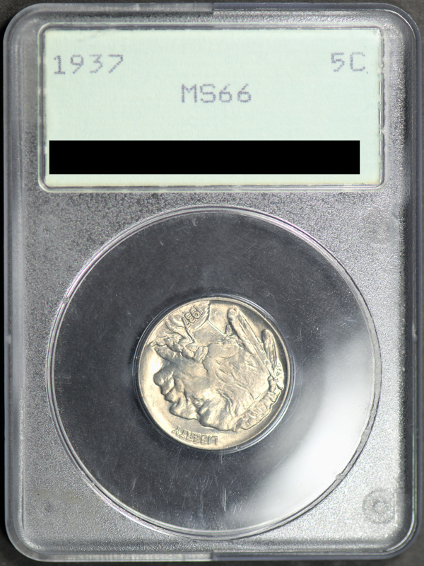 Should-I-Try-To-Upgrade-This-Buffalo-Nickel?