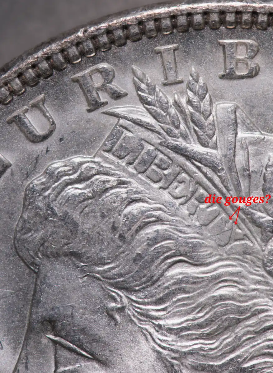 Morgan-Dollar-1888,-Near-Slanted-Date-VAM?