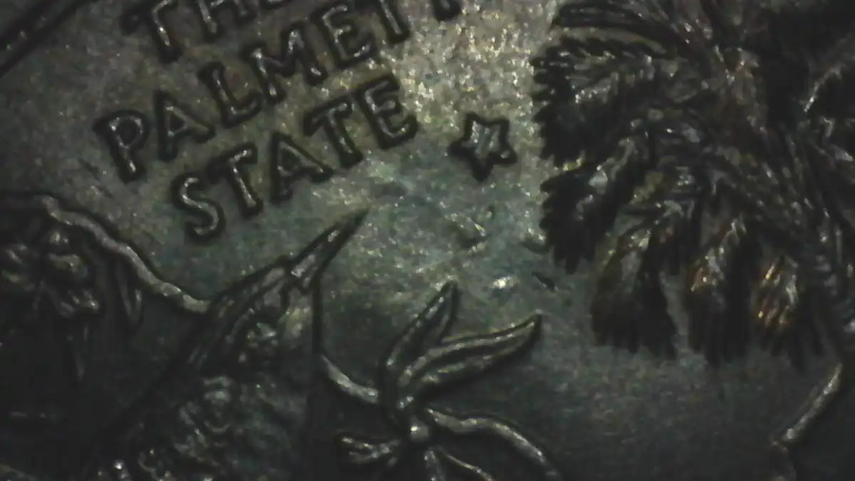 2000-P-South-Carolina-Error?