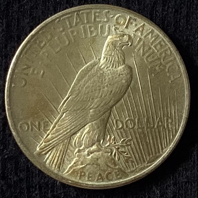 1925-Peace-Dollar-For-Grading.