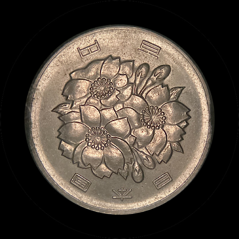 How-Do-You-Correctly-Illuminate-Macro-Shots-In-Indirect-Sunlight?