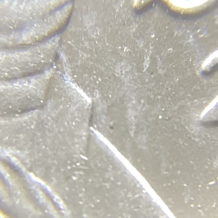 Yet-Another-2020-P-Jefferson-Nickel-WDDR-018.
