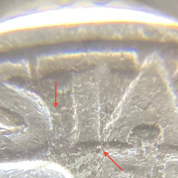 1941-Washington-Quarter,-Best-Of-WDDR-002-Ddr-012.