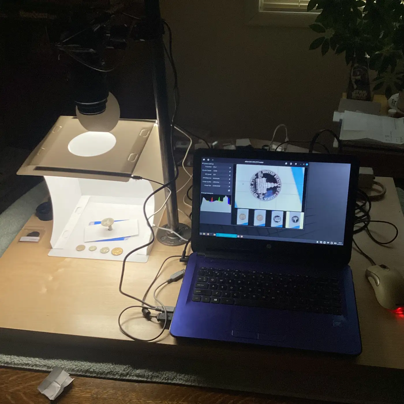 Working-With-A-Light-Box?