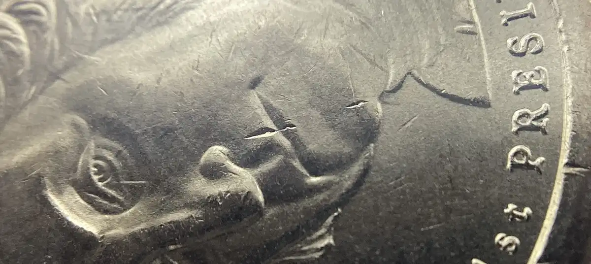 2007-P-Washington-Dollar-With-Strong-Die-Clash.