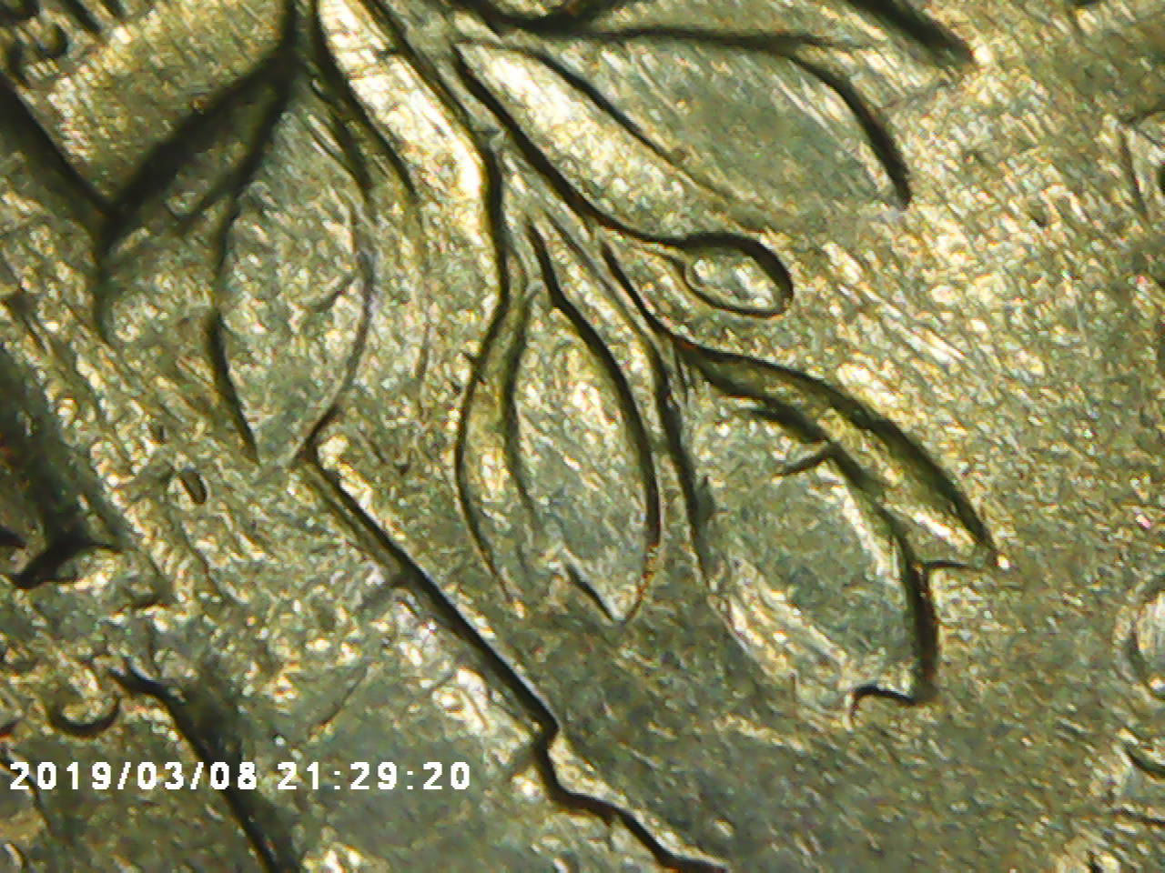 1978-Roosevelt-Dime-Possible-Double-Die-?-Experts-Needed
