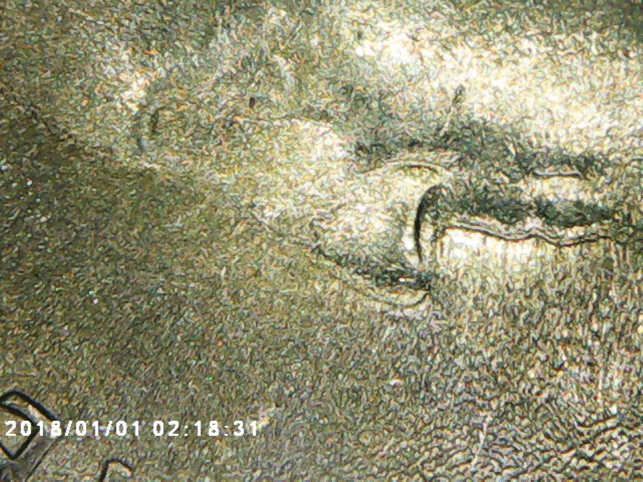 2014-Quarter-Dollar-With-Some-Doubling....