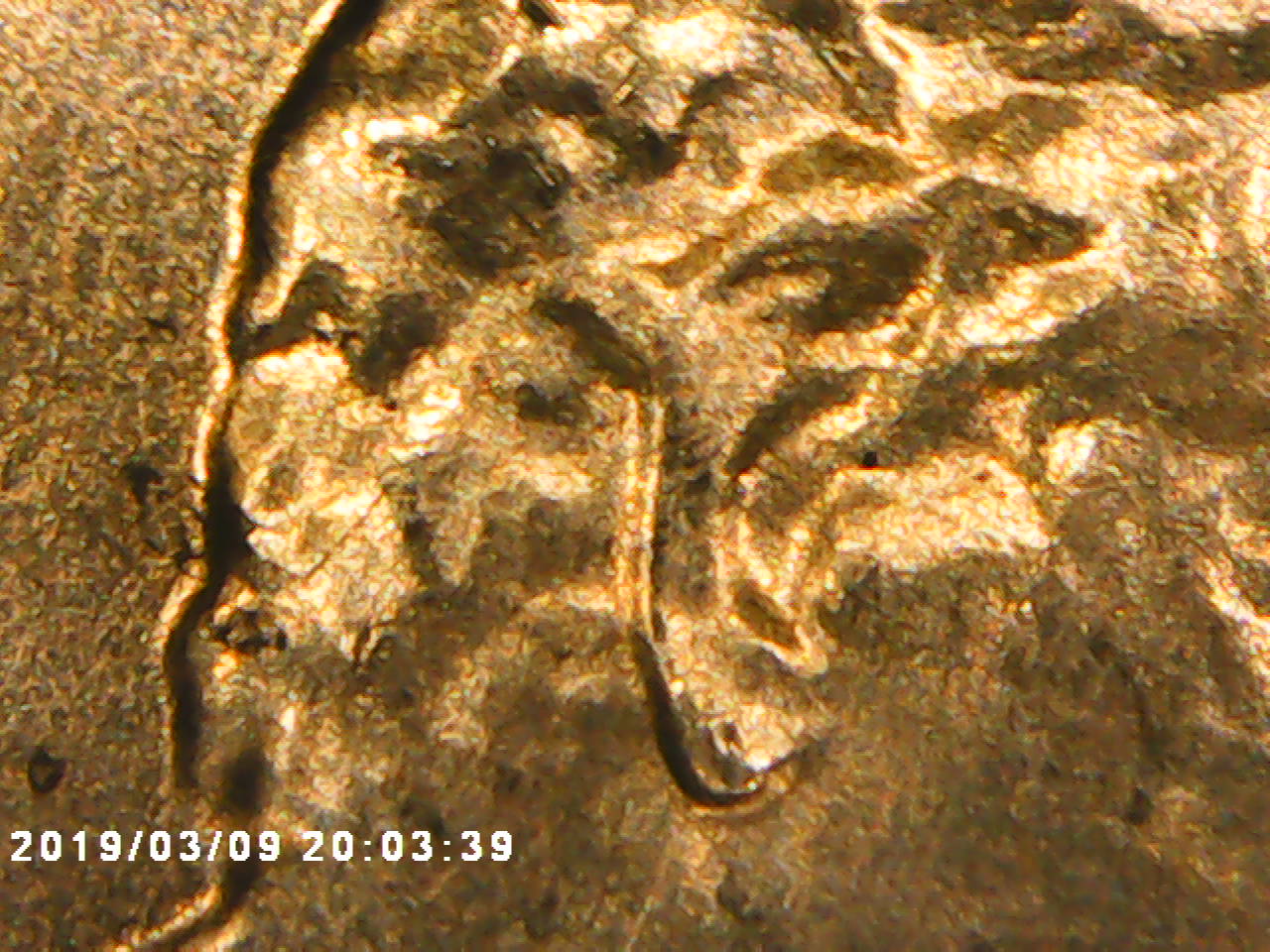 2019-Penny-Doubled-Die-?-Or-DDD-?