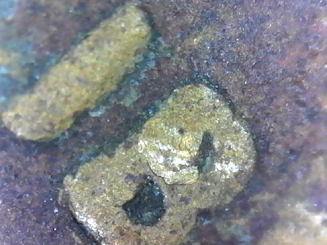 1936-Lincoln-Wheat-Cent,-DDO?-RB-Variety?-Help!