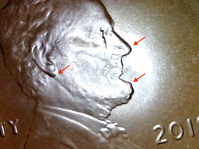 2019-D-LSC-Obverse-Questions