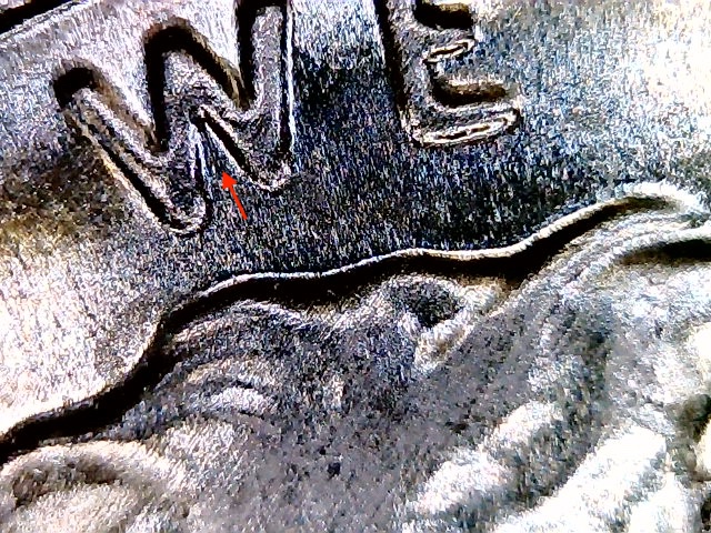 2019-D-LSC-Obverse-Questions