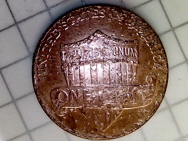 2019-D-LSC-Questions-On-Obverse-And-Reverse
