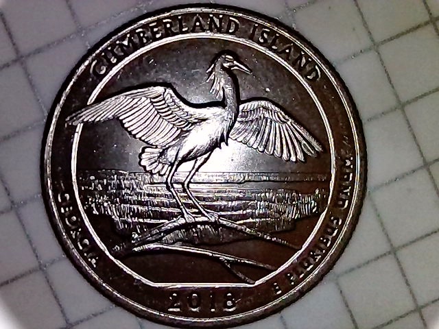 2018-D-Cumberland-Island--Struck-Through-Grease-Obverse-Vertical-Lines-?