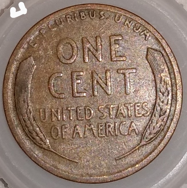 Woody-Cents,-Good-Looking-Coins-Just-Not-Sure-If-They-Are-Or-Not.