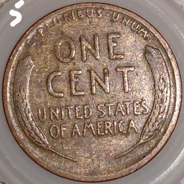 Woody-Cents,-Good-Looking-Coins-Just-Not-Sure-If-They-Are-Or-Not.