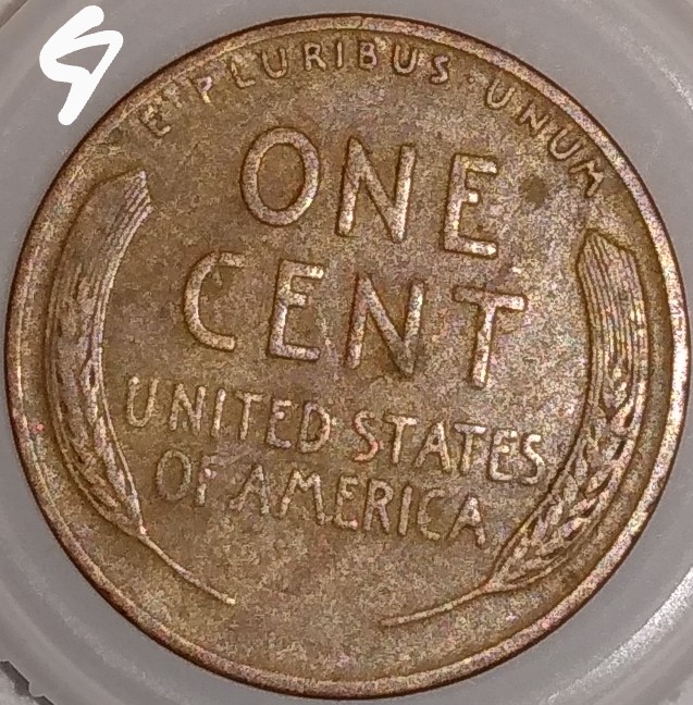 Woody-Cents,-Good-Looking-Coins-Just-Not-Sure-If-They-Are-Or-Not.