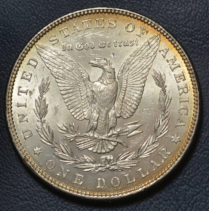 Morgan-Dollars.--Are-They-Cleaned-Iyo?